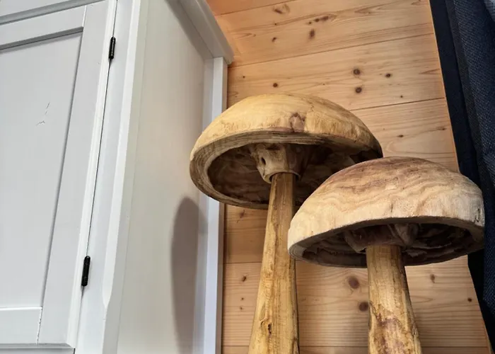 A - Cadre Naturel Et Calme * La Bresse