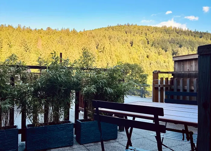 A - Cadre Naturel Et Calme * La Bresse